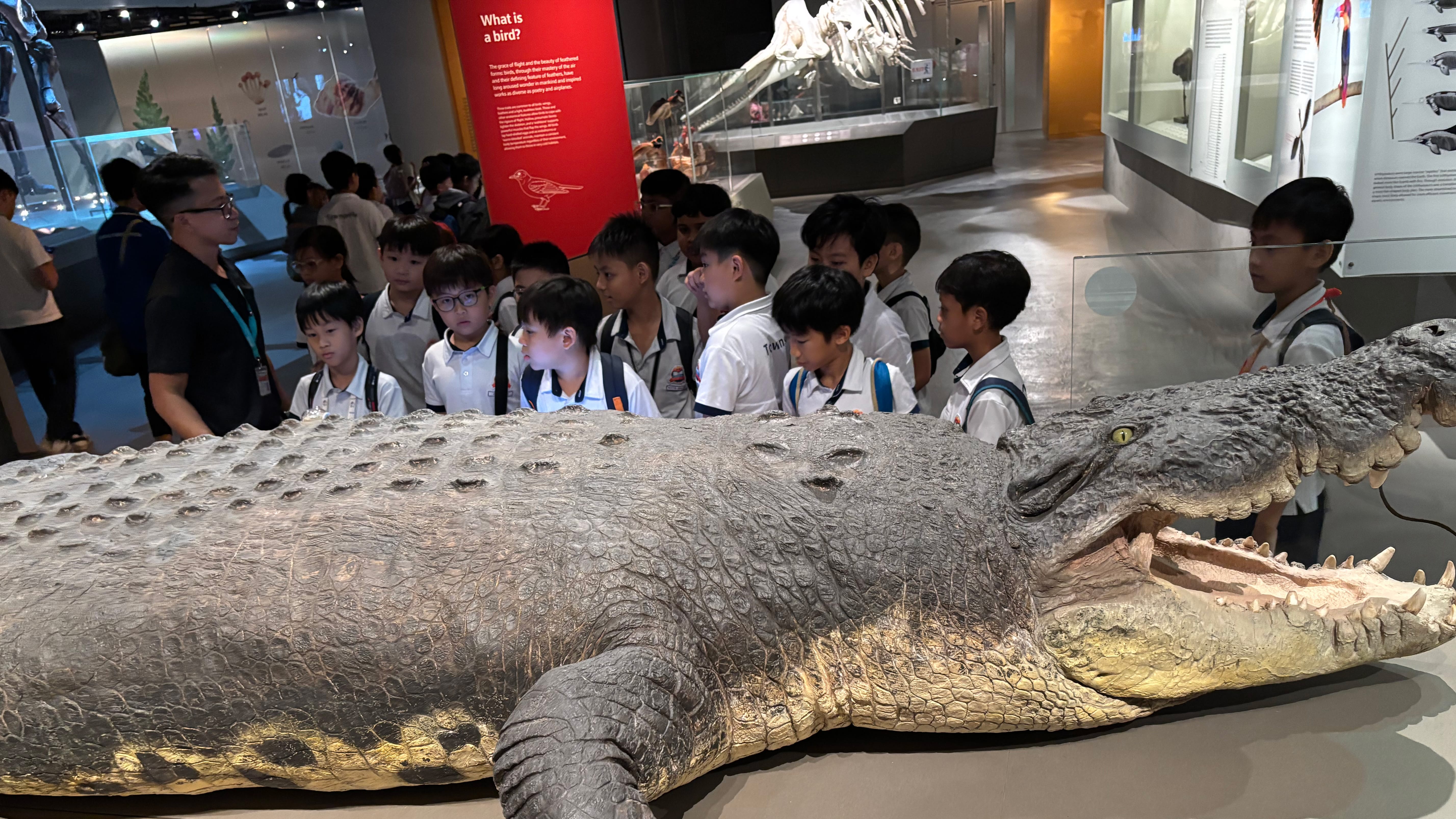 SciQuest 6